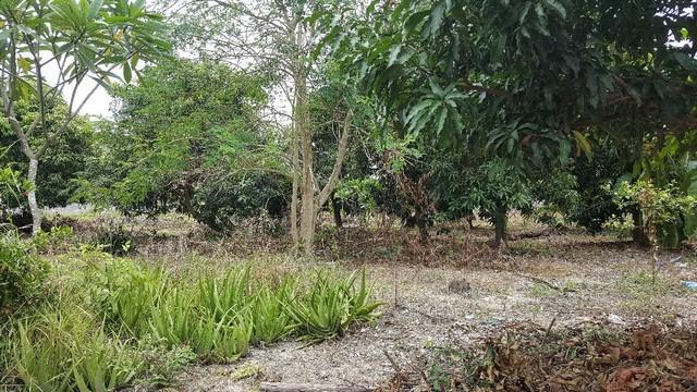 ที่ดิน 17500000 ประจวบคีรีขันธ์ หัวหิน หินเหล็กไฟ ที่ดิน 17500000 ประจวบคีรีขันธ์ หัวหิน หินเหล็กไฟ