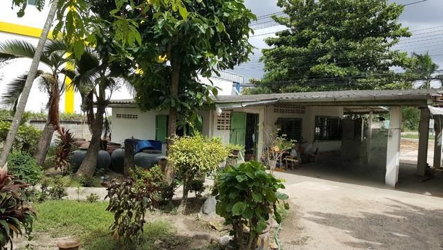 ที่ดิน 17500000 ประจวบคีรีขันธ์ หัวหิน หินเหล็กไฟ ที่ดิน 17500000 ประจวบคีรีขันธ์ หัวหิน หินเหล็กไฟ