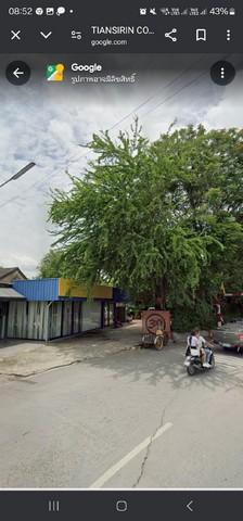 บ้านเดี่ยว 9500000 ปทุมธานี คลองหลวง คลองหก