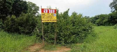 ที่ดิน 800000 นครสวรรค์ เมืองนครสวรรค์ หนองปลิง