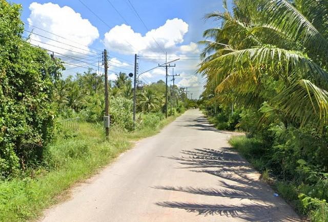 ที่ดิน 5000000 พัทลุง เมืองพัทลุง ชัยบุรี ที่ดิน 5000000 พัทลุง เมืองพัทลุง ชัยบุรี