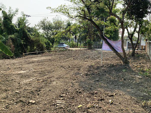 ที่ดิน 2400000 นนทบุรี บางใหญ่ บางเลน ที่ดิน 2400000 นนทบุรี บางใหญ่ บางเลน