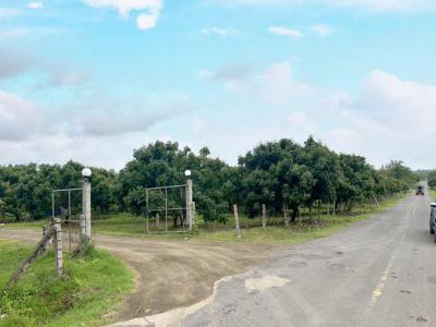 ที่ดิน 650000 จันทบุรี สอยดาว สะตอน