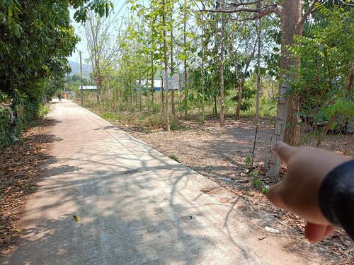 ที่ดิน 1600000 พิษณุโลก วังทอง ชัยนาม ที่ดิน 1600000 พิษณุโลก วังทอง ชัยนาม