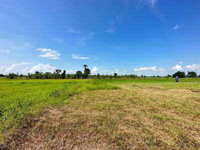 ที่ดิน 1500000 บุรีรัมย์ กระสัง สองชั้น