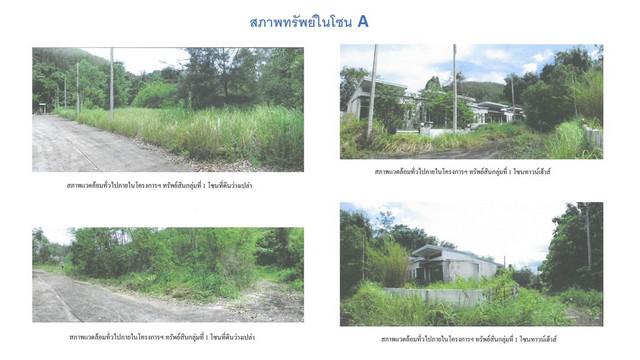 ที่ดิน 10310000 ภูเก็ต เมืองภูเก็ต วิชิต ที่ดิน 10310000 ภูเก็ต เมืองภูเก็ต วิชิต