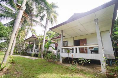 บ้านเดี่ยว 13000 สุราษฎร์ธานี เกาะสมุย แม่น้ำ