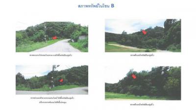 ที่ดิน 5230000 ภูเก็ต เมืองภูเก็ต วิชิต