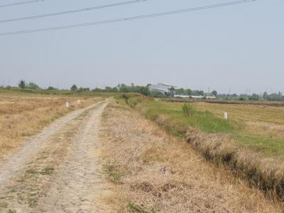 ที่ดิน 429000000 ฉะเชิงเทรา บางปะกง บางวัว
