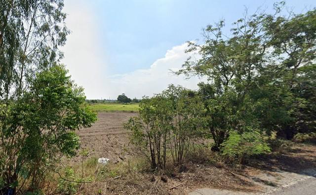 ที่ดิน 5000000 สุพรรณบุรี บางปลาม้า โคกคราม ที่ดิน 5000000 สุพรรณบุรี บางปลาม้า โคกคราม