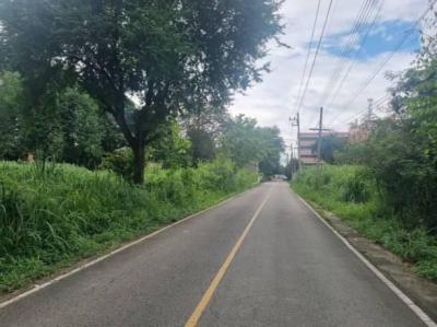 ที่ดิน 8600000 เชียงใหม่ เมืองเชียงใหม่ ช้างเผือก