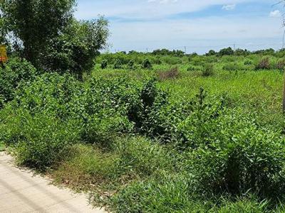 ที่ดิน 1000000 ปทุมธานี