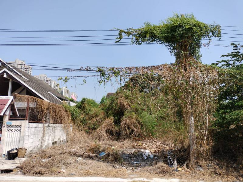 ที่ดิน 6375000 นนทบุรี ปากเกร็ด ปากเกร็ด ที่ดิน 6375000 นนทบุรี ปากเกร็ด ปากเกร็ด