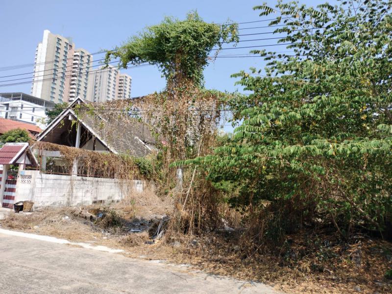 ที่ดิน 6375000 นนทบุรี ปากเกร็ด ปากเกร็ด ที่ดิน 6375000 นนทบุรี ปากเกร็ด ปากเกร็ด