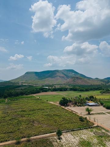 ที่ดิน 49000000 เพชรบุรี หนองหญ้าปล้อง ยางน้ำกลัดเหนือ ที่ดิน 49000000 เพชรบุรี หนองหญ้าปล้อง ยางน้ำกลัดเหนือ