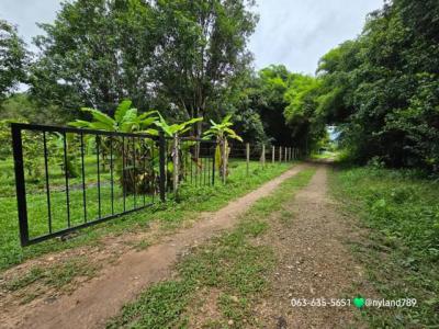 ที่ดิน 4500000 นครนายก บ้านนา ศรีกะอาง