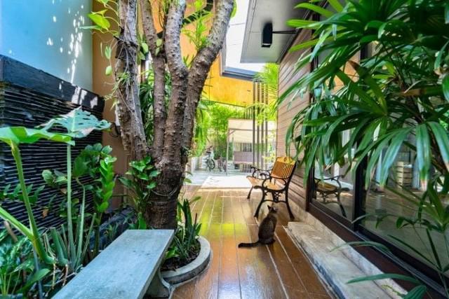 บ้านเดี่ยว 7500000 กรุงเทพมหานคร เขตมีนบุรี มีนบุรี บ้านเดี่ยว 7500000 กรุงเทพมหานคร เขตมีนบุรี มีนบุรี