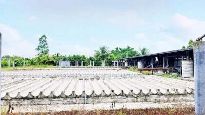 โรงงาน 15000000 ชลบุรี บ่อทอง เกษตรสุวรรณ