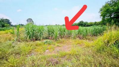 ที่ดิน 900000 ชลบุรี บ่อทอง เกษตรสุวรรณ