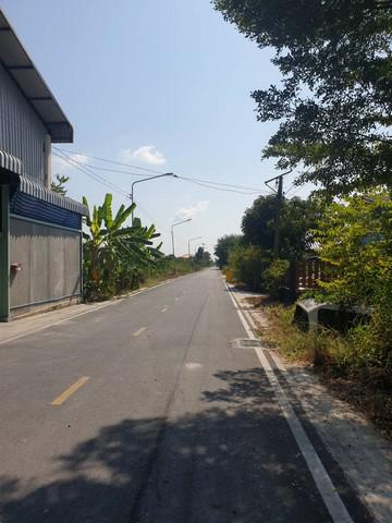 ที่ดิน 1000000 ปทุมธานี ธัญบุรี ลำผักกูด ที่ดิน 1000000 ปทุมธานี ธัญบุรี ลำผักกูด