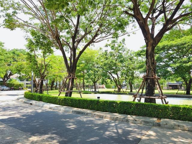 บ้านเดี่ยว 7290000 สมุทรปราการ บางพลี บางแก้ว บ้านเดี่ยว 7290000 สมุทรปราการ บางพลี บางแก้ว