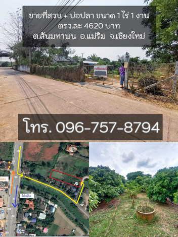 ที่ดิน 2350000 เชียงใหม่ แม่แตง สันมหาพน