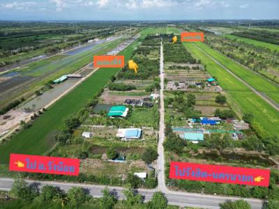 ที่ดิน 1100000 ปทุมธานี หนองเสือ หนองสามวัง