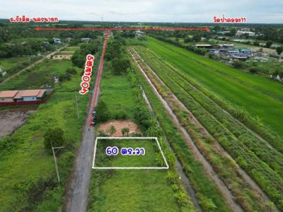 ที่ดิน 270000 ปทุมธานี หนองเสือ หนองสามวัง
