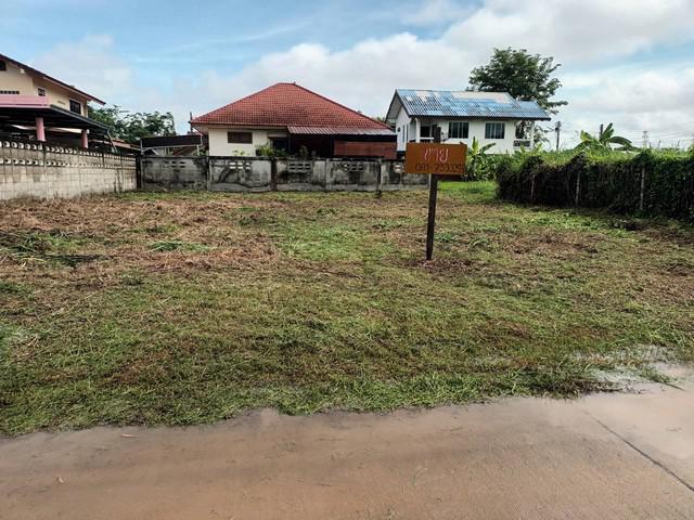 ที่ดิน 1000000 พิษณุโลก เมืองพิษณุโลก บึงพระ ที่ดิน 1000000 พิษณุโลก เมืองพิษณุโลก บึงพระ