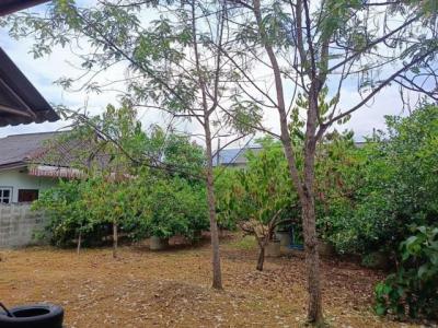 ที่ดิน 23000 เชียงใหม่ สารภี ท่าวังตาล