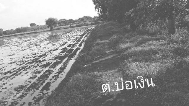 ที่ดิน 800000 ปทุมธานี ลาดหลุมแก้ว บ่อเงิน ที่ดิน 800000 ปทุมธานี ลาดหลุมแก้ว บ่อเงิน