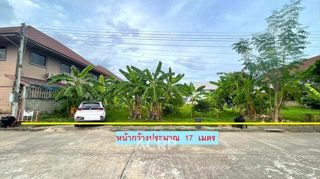 ที่ดิน 4882500 เชียงใหม่ หางดง หนองควาย ที่ดิน 4882500 เชียงใหม่ หางดง หนองควาย