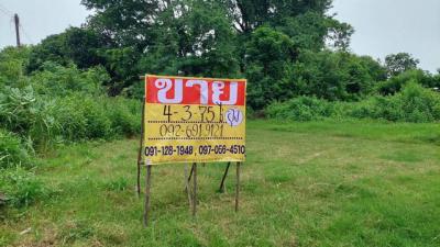 ที่ดิน 6500000 อุดรธานี หนองวัวซอ หนองวัวซอ