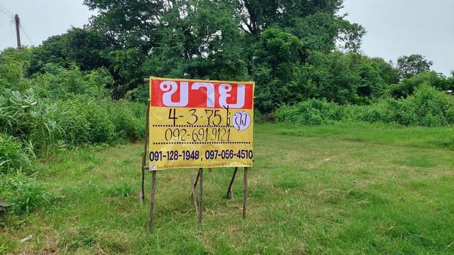 ที่ดิน 6500000 อุดรธานี หนองวัวซอ หนองวัวซอ ที่ดิน 6500000 อุดรธานี หนองวัวซอ หนองวัวซอ