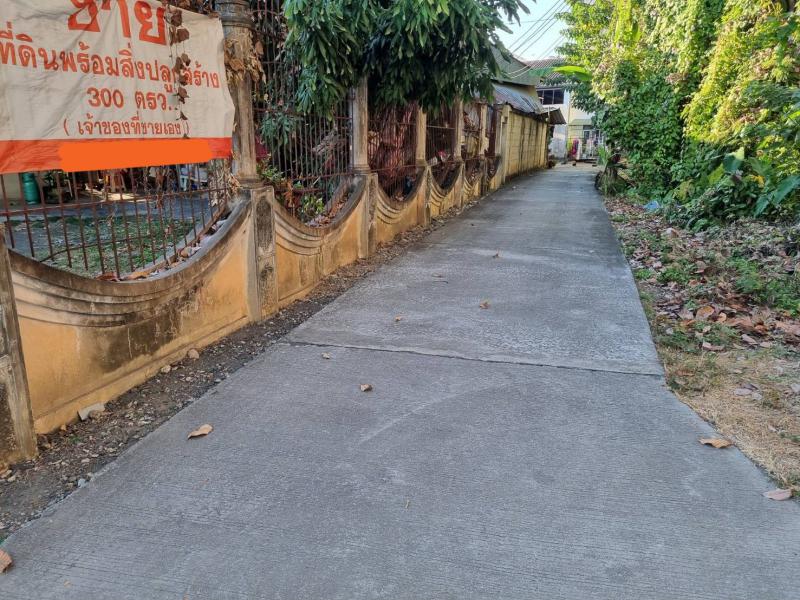 ที่ดิน 8100000 เชียงใหม่ สารภี หนองผึ้ง ที่ดิน 8100000 เชียงใหม่ สารภี หนองผึ้ง