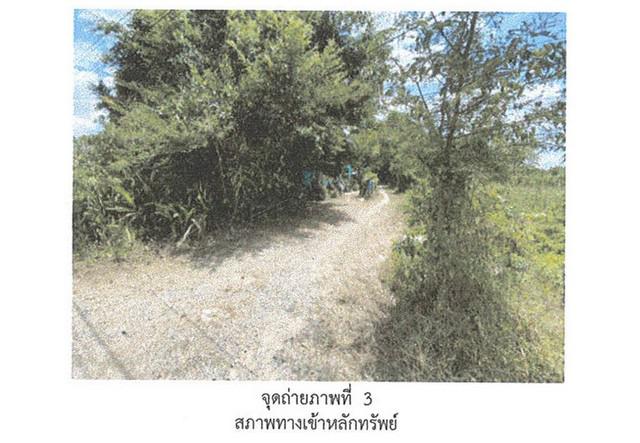 บ้านเดี่ยว 860000 สงขลา เทพา ท่าม่วง บ้านเดี่ยว 860000 สงขลา เทพา ท่าม่วง