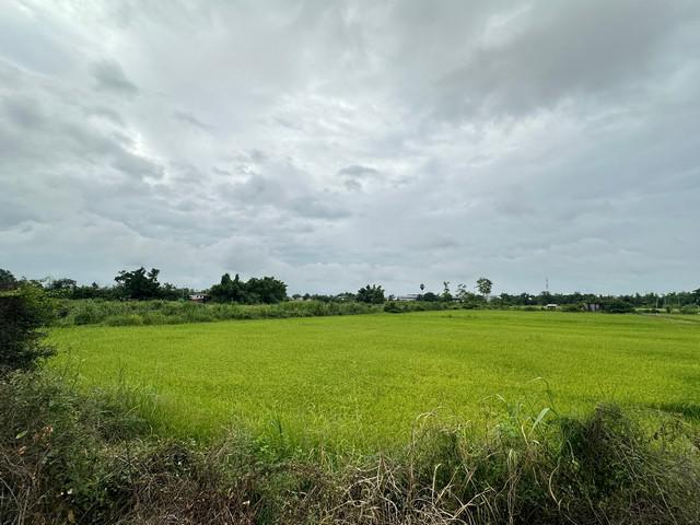 ที่ดิน 6000000 พิษณุโลก บางระกำ บางระกำ ที่ดิน 6000000 พิษณุโลก บางระกำ บางระกำ