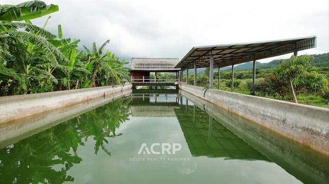 ที่ดิน 29490000 ลำพูน ป่าซาง นครเจดีย์ ที่ดิน 29490000 ลำพูน ป่าซาง นครเจดีย์