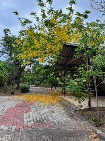 ที่ดิน 30000000 สมุทรสงคราม เมืองสมุทรสงคราม ท้ายหาด ที่ดิน 30000000 สมุทรสงคราม เมืองสมุทรสงคราม ท้ายหาด