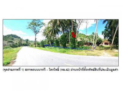 บ้านเดี่ยว 1100000 สงขลา เทพา วังใหญ่