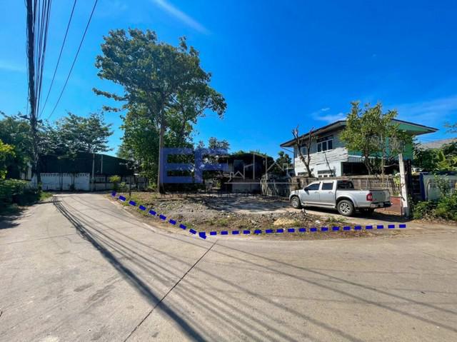 ที่ดิน 2500000 กรุงเทพมหานคร เขตบางแค บางแคเหนือ ที่ดิน 2500000 กรุงเทพมหานคร เขตบางแค บางแคเหนือ