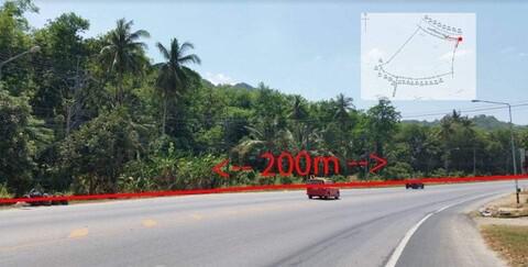 ที่ดิน 706410000 ภูเก็ต ถลาง ศรีสุนทร ที่ดิน 706410000 ภูเก็ต ถลาง ศรีสุนทร
