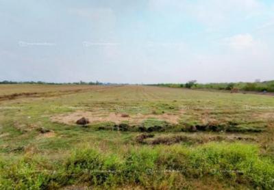 ที่ดิน 3000000 ฉะเชิงเทรา บ้านโพธิ์ แหลมประดู่