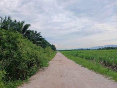 ที่ดิน 1500000 ชลบุรี บ้านบึง หนองบอนแดง