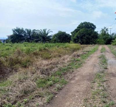 ที่ดิน 240000000 ปทุมธานี หนองเสือ บึงบา