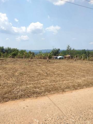 ที่ดิน 550000 เพชรบูรณ์ เขาค้อ หนองแม่นา