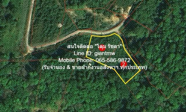 ที่ดิน 34000000 ภูเก็ต กะทู้ กมลา ที่ดิน 34000000 ภูเก็ต กะทู้ กมลา