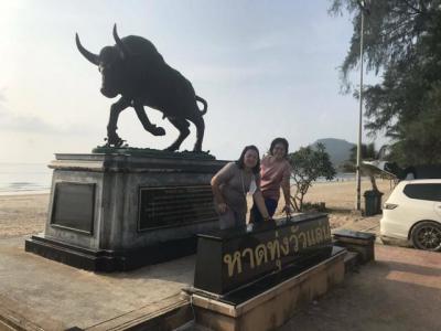 ที่ดิน 8000000 ชุมพร ปะทิว สะพลี