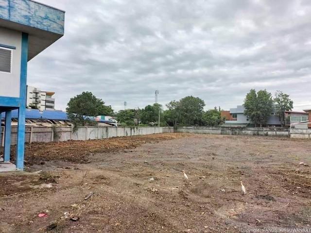 ที่ดิน 113710000 กรุงเทพมหานคร เขตบางเขน ท่าแร้ง ที่ดิน 113710000 กรุงเทพมหานคร เขตบางเขน ท่าแร้ง