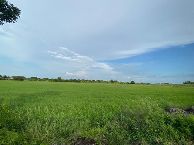 ที่ดิน 600000 ฉะเชิงเทรา บ้านโพธิ์ คลองบ้านโพธิ์ ที่ดิน 600000 ฉะเชิงเทรา บ้านโพธิ์ คลองบ้านโพธิ์